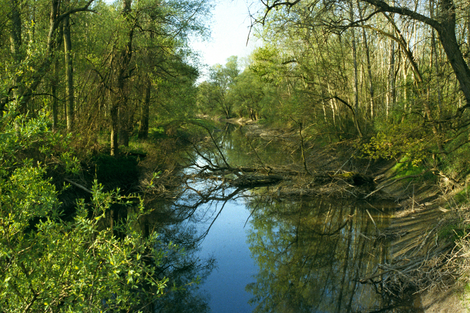 Zauberlandschaft