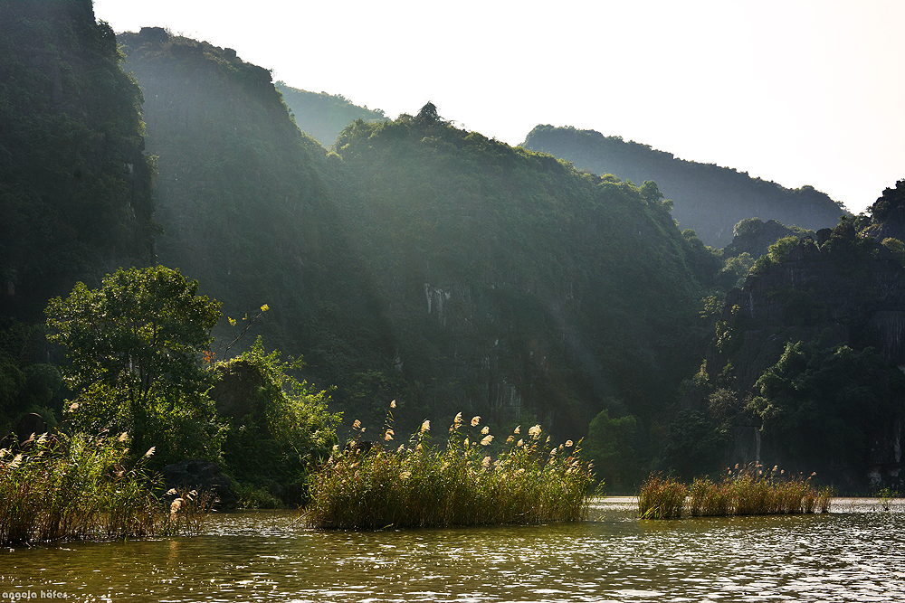 Zauberlandschaft