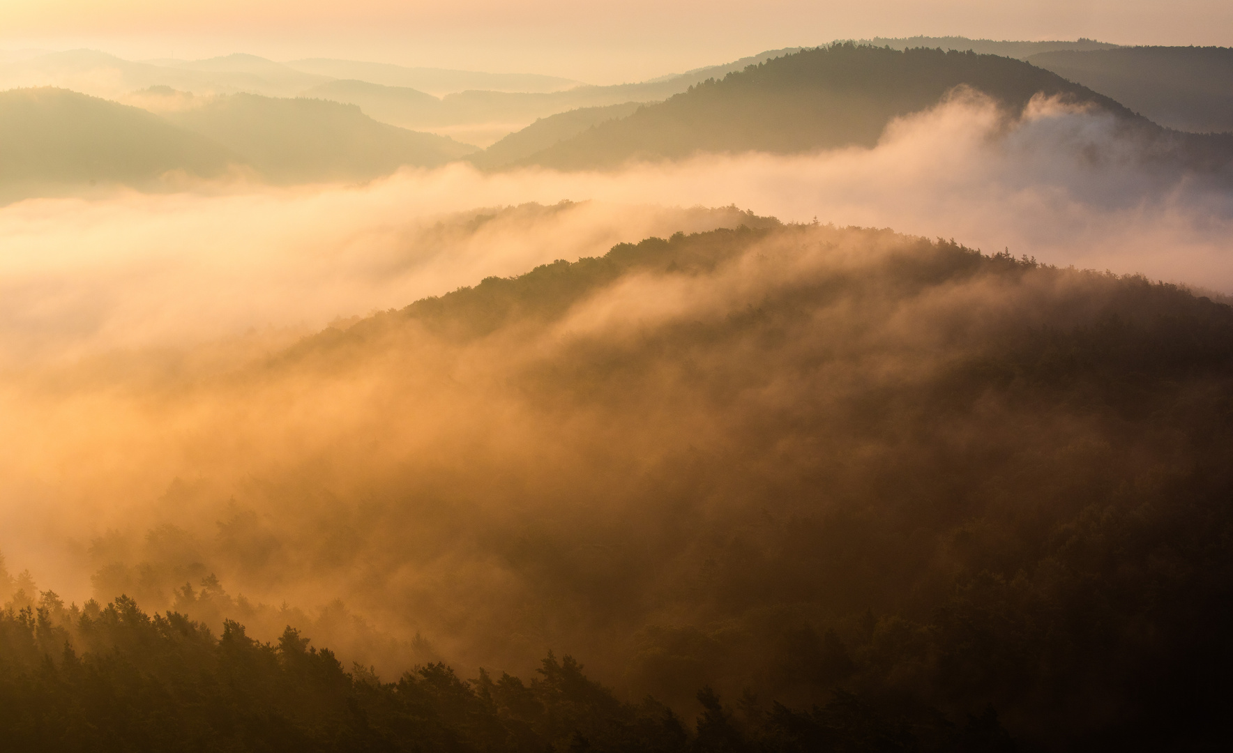 Zauberlandschaft im Nebel