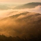 Zauberlandschaft im Nebel