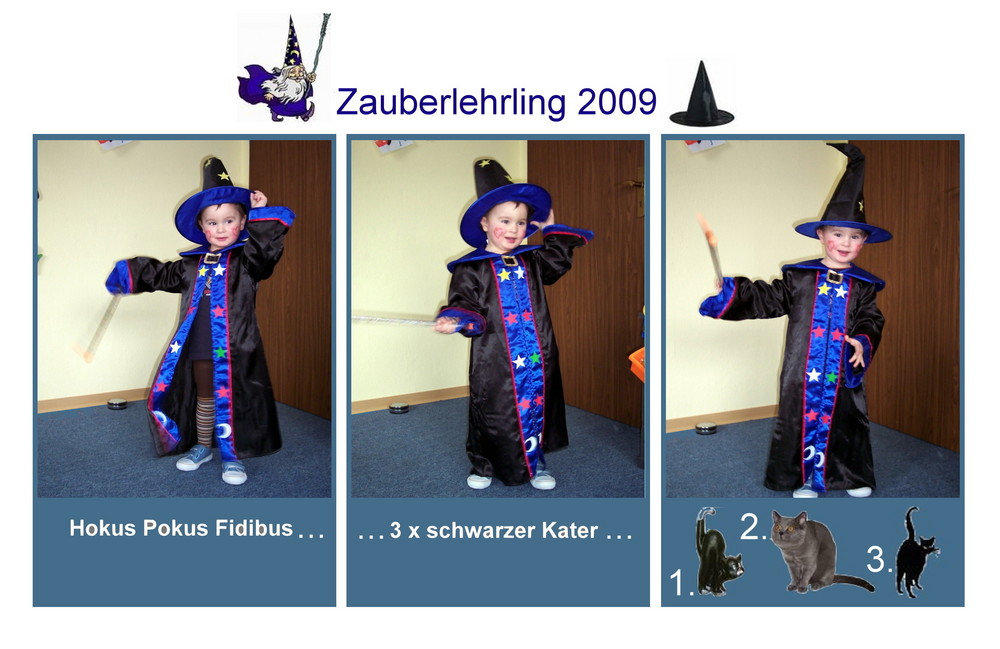 Zauberlehrling