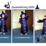 Zauberlehrling