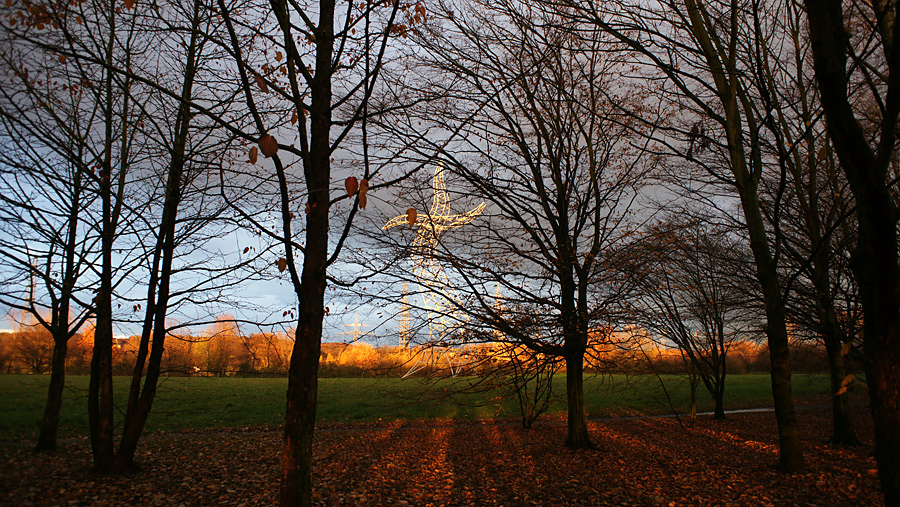 Zauberlehrling im Herbst