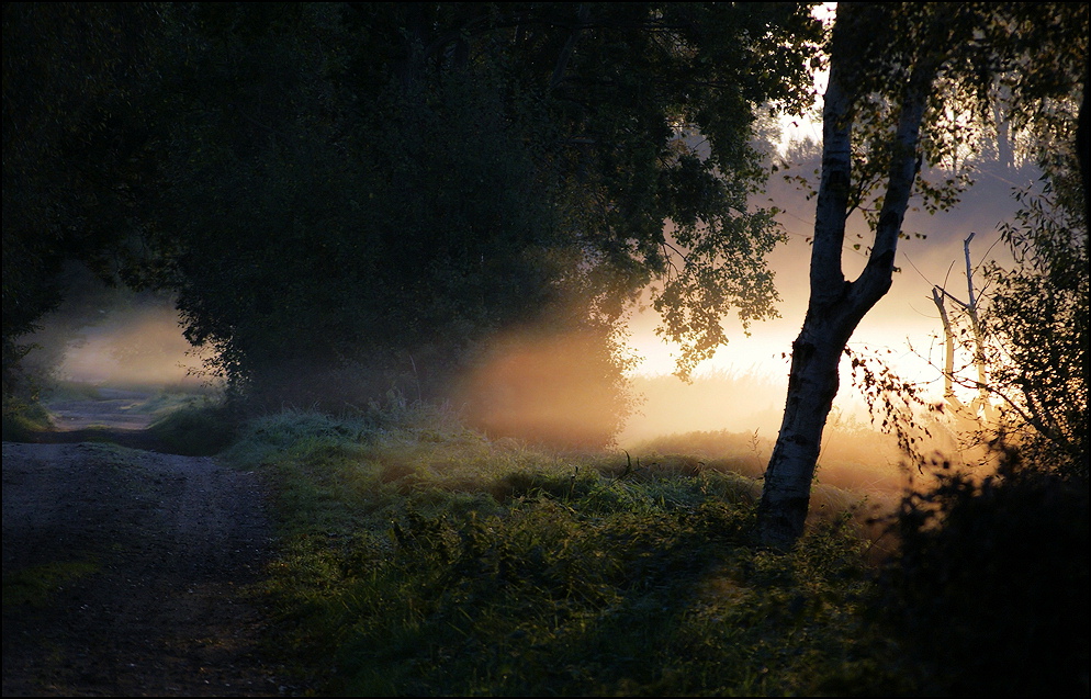 Zauberlicht