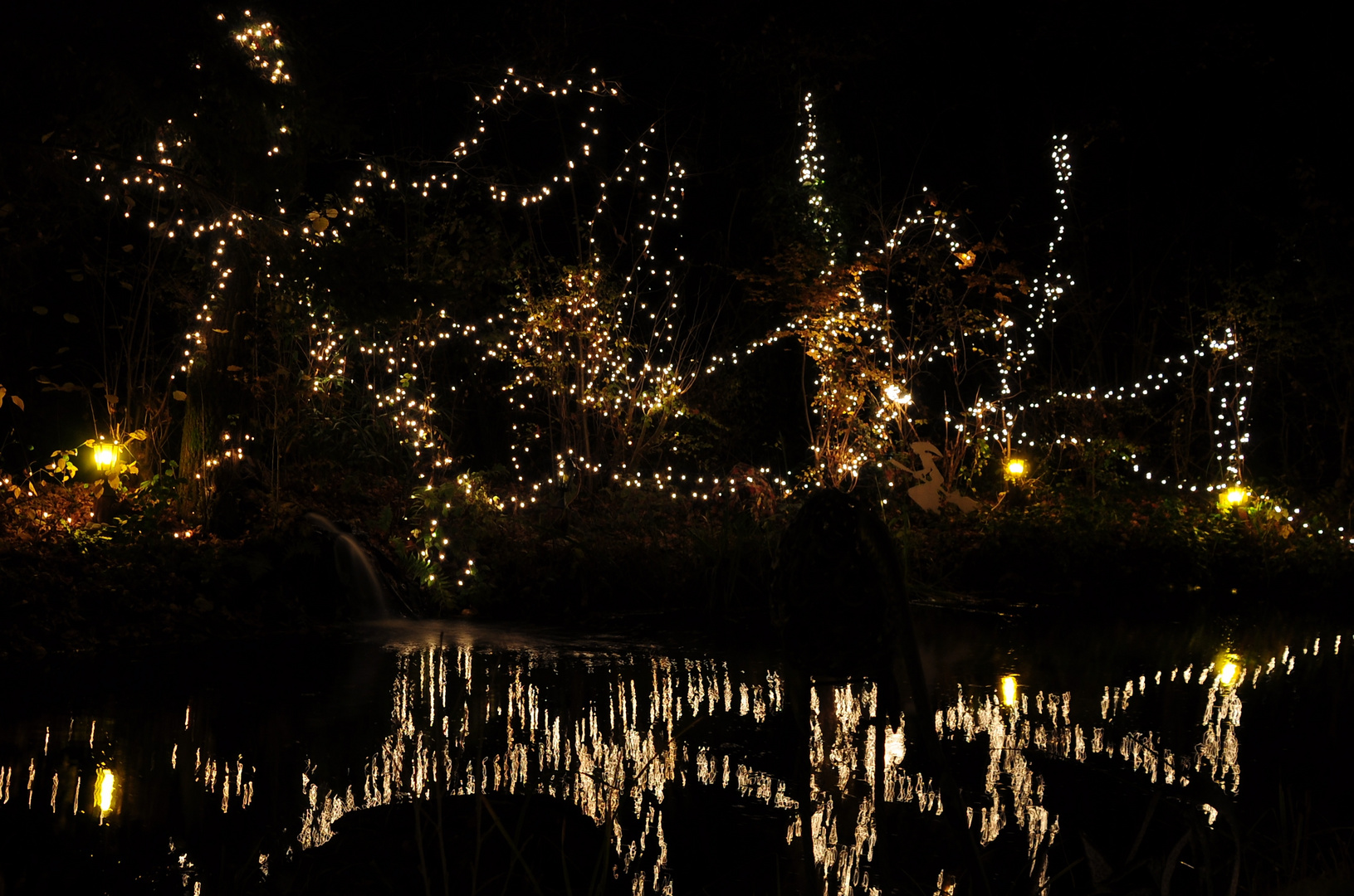 Zauberlicht im Hexengarten