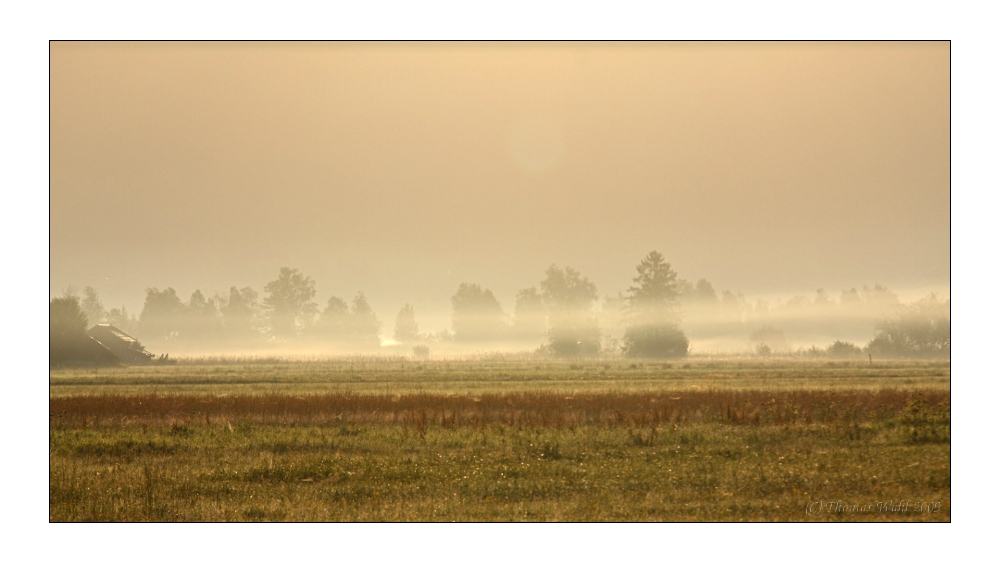 Zaubernebel