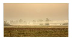 Zaubernebel