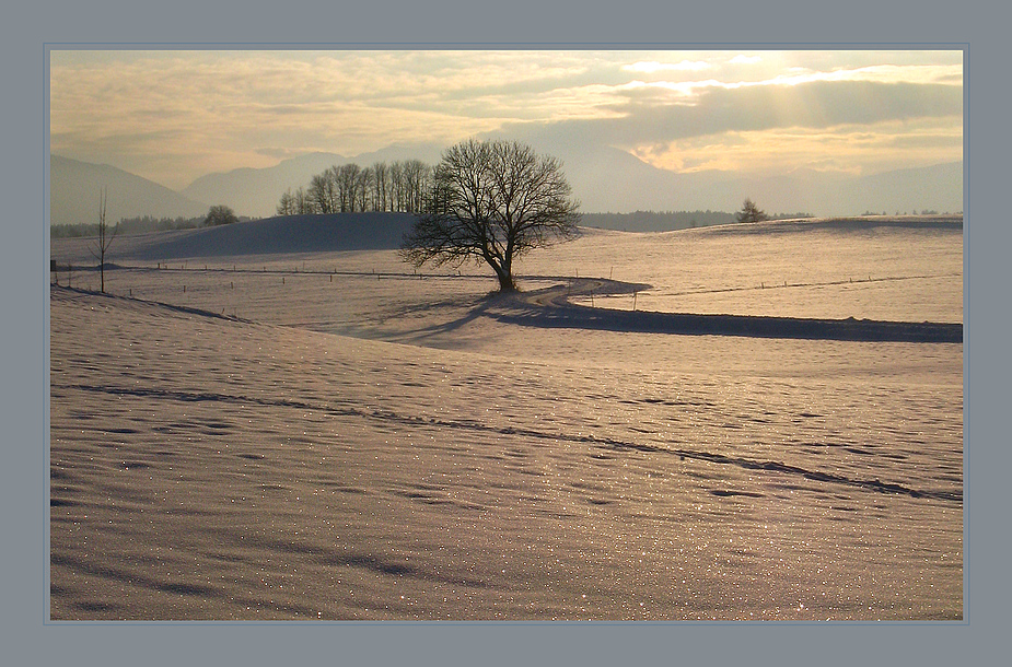 Zauberschnee ...