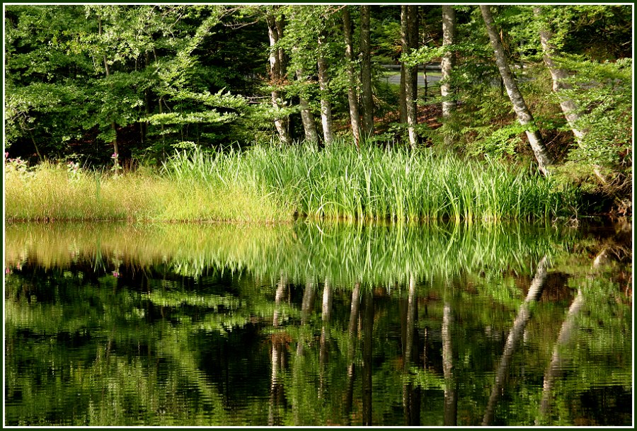 Zaubersee