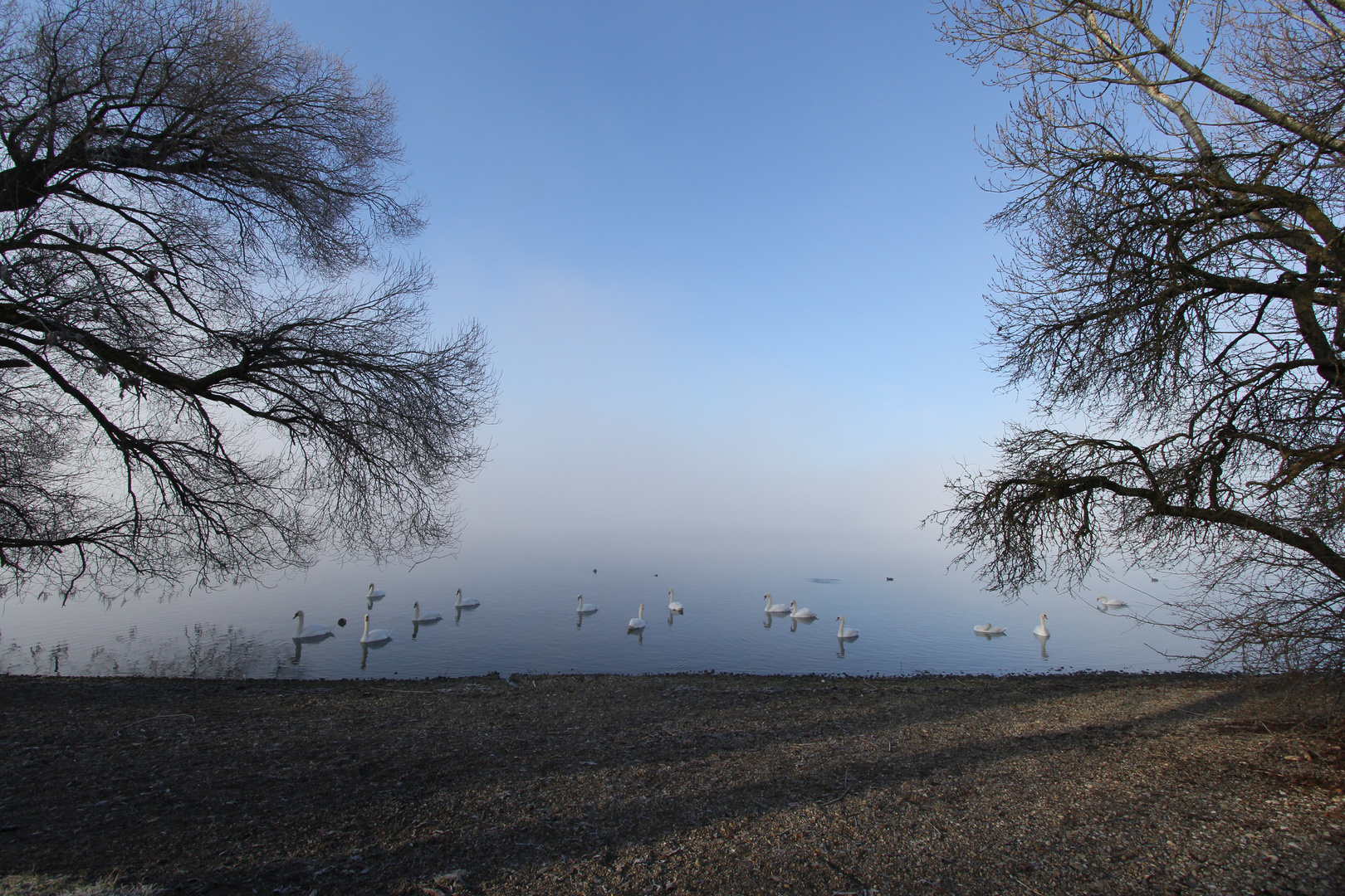 Zauberstimmung am Greifensee