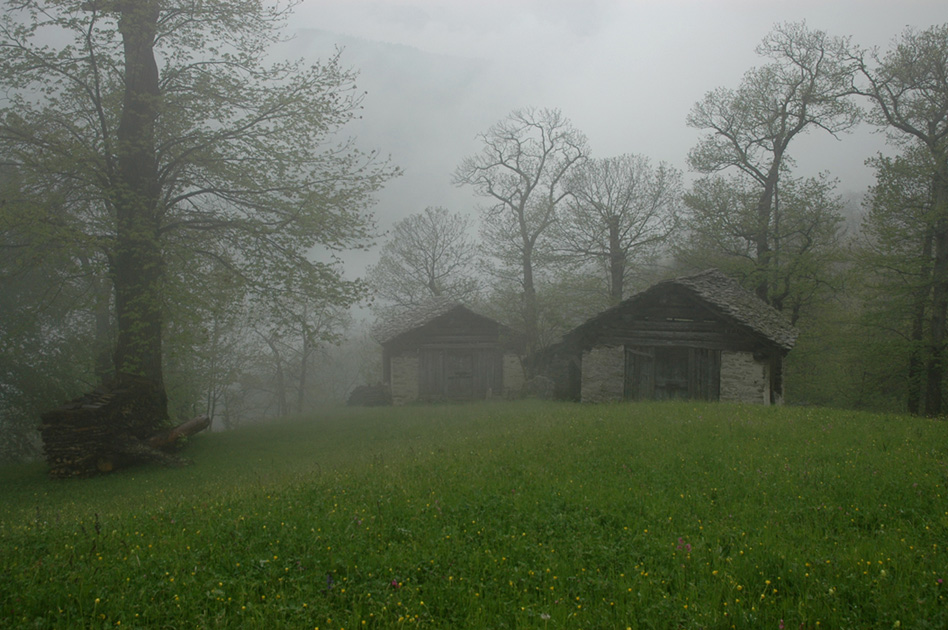 Zauberwald