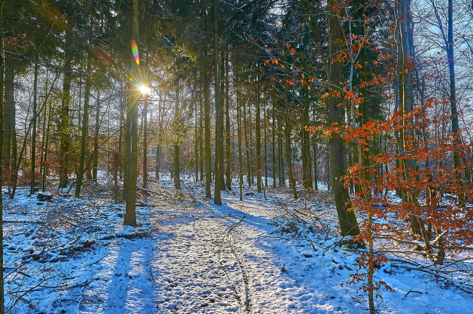 Zauberwald