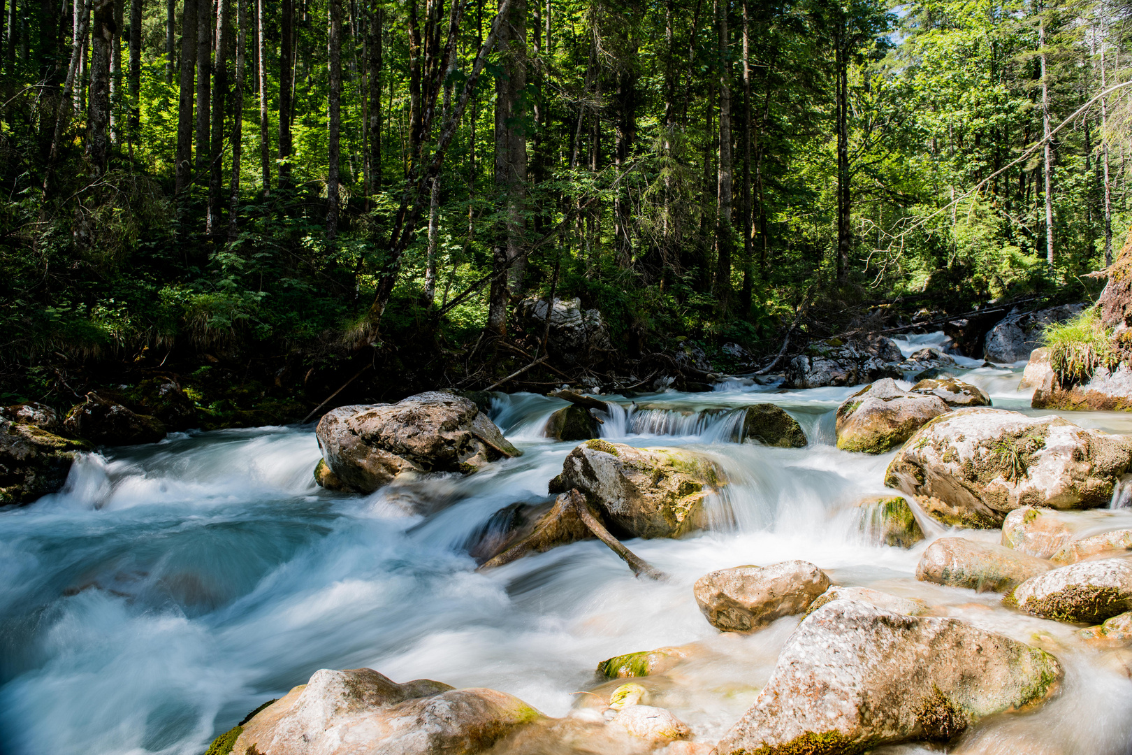 Zauberwald am Hintersee 3