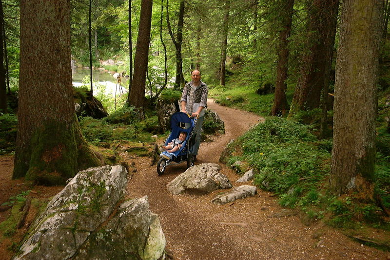 Zauberwald am Hintersee