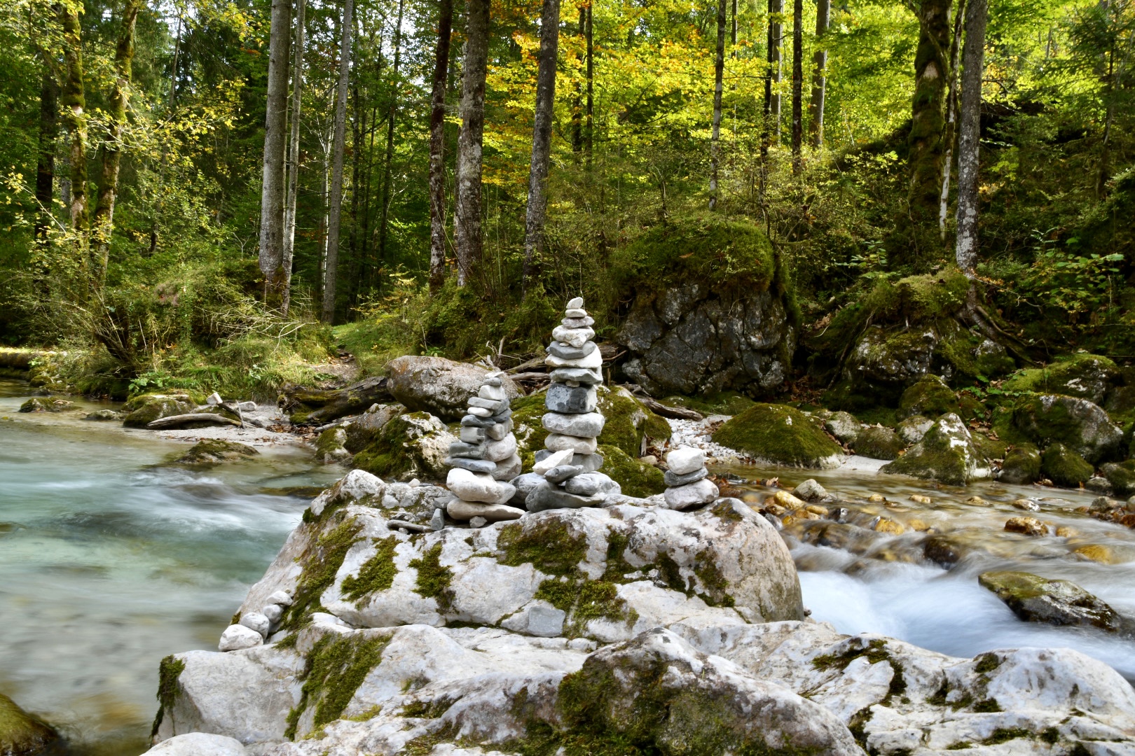 Zauberwald am Hintersee 