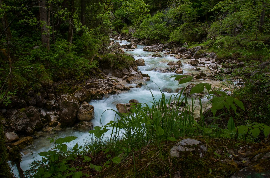 Zauberwald bei Ramsau