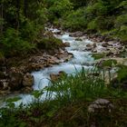 Zauberwald bei Ramsau