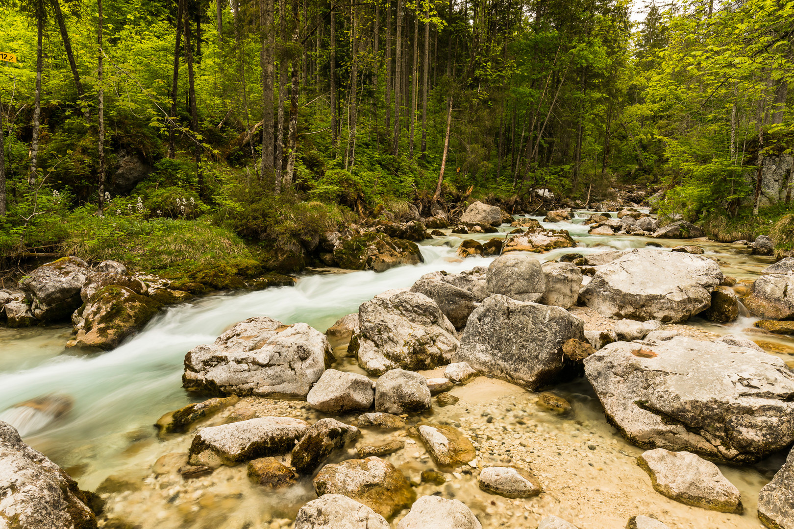 Zauberwald im Berchtesgadener Land