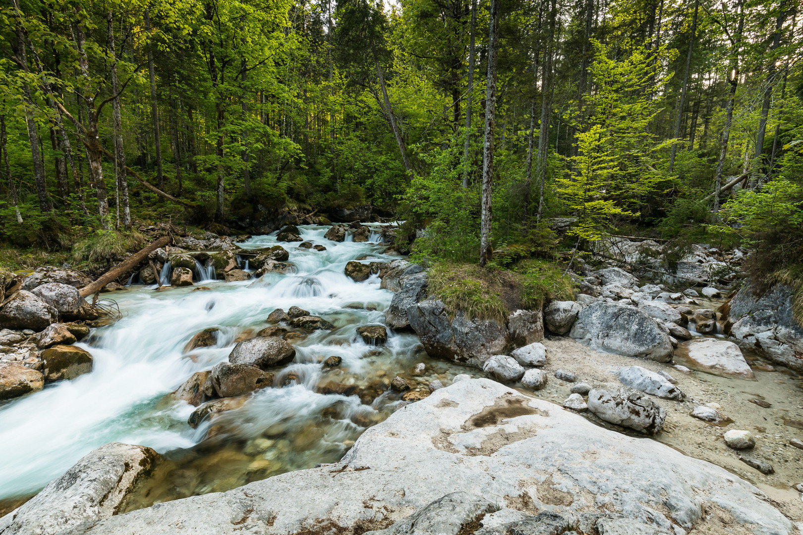 Zauberwald im Berchtesgadener Land