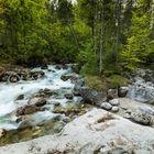 Zauberwald im Berchtesgadener Land