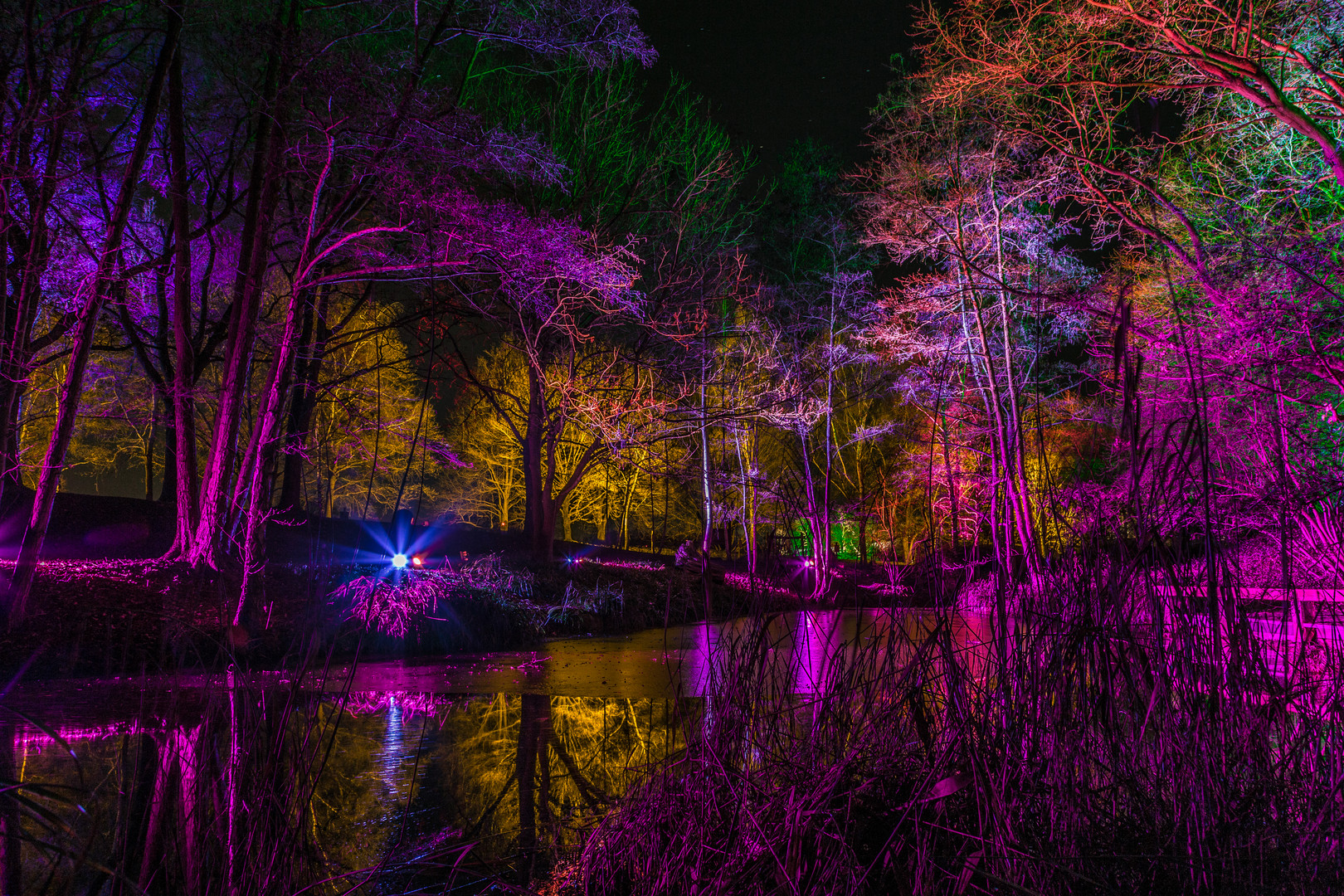 Zauberwald im Luisenpark Mannheim