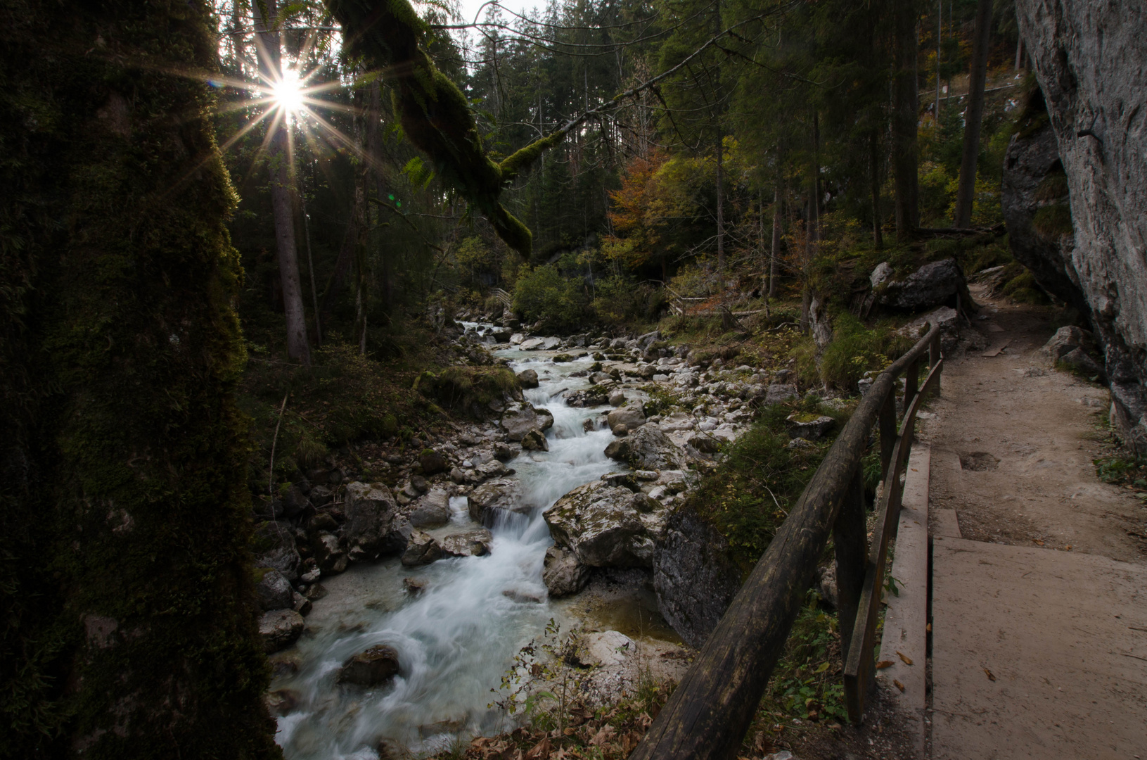 Zauberwald in Berchtesgarden