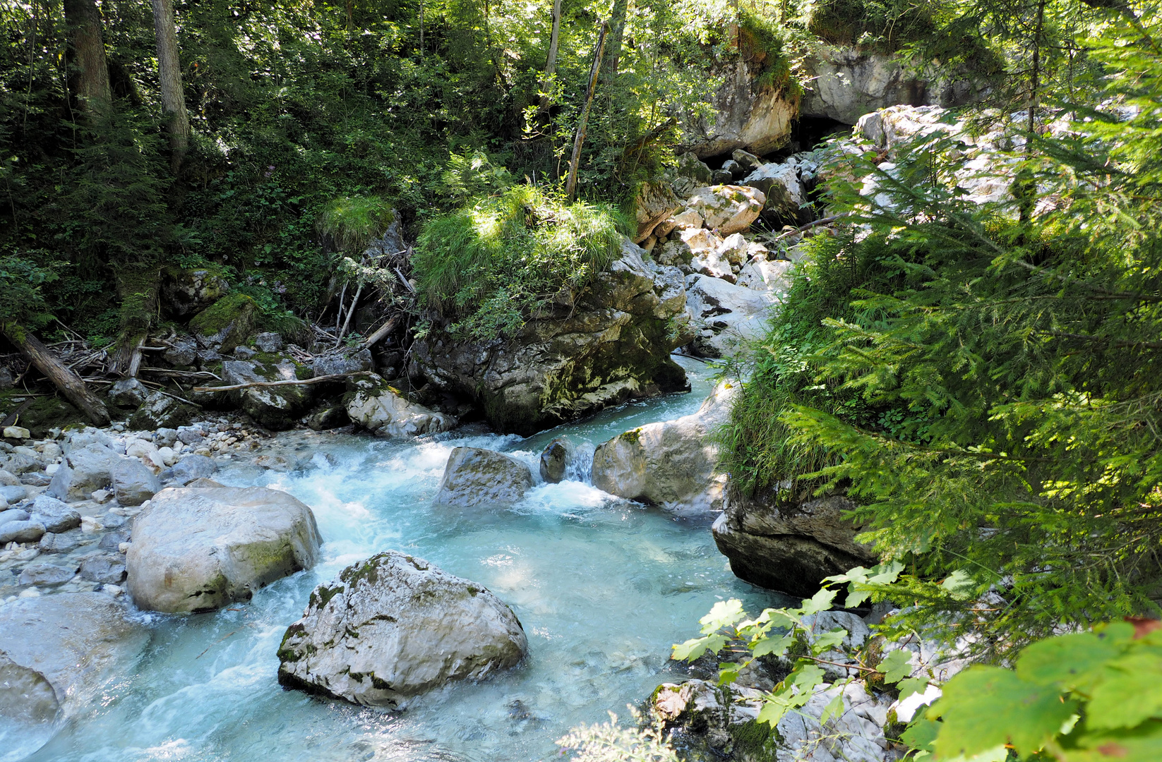 Zauberwald in Ramsau 