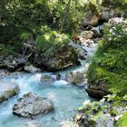 Zauberwald in Ramsau 