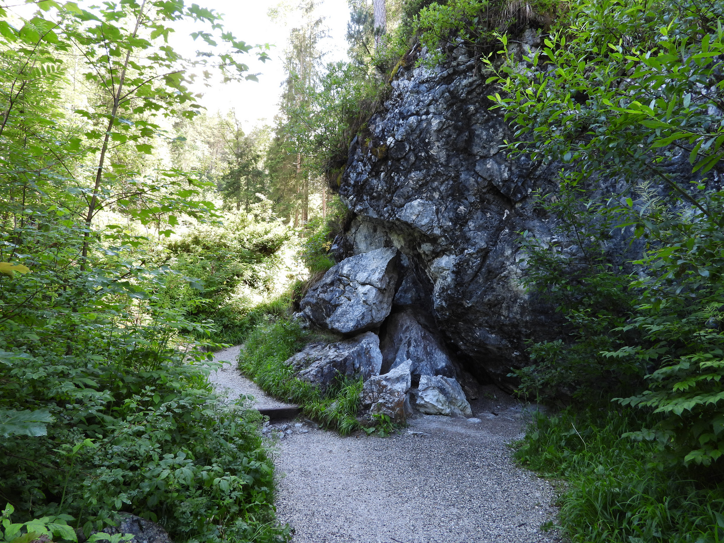 Zauberwald in Ramsau Hintersee Bayern