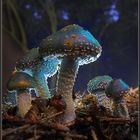 Zauberwald mit Pilzen