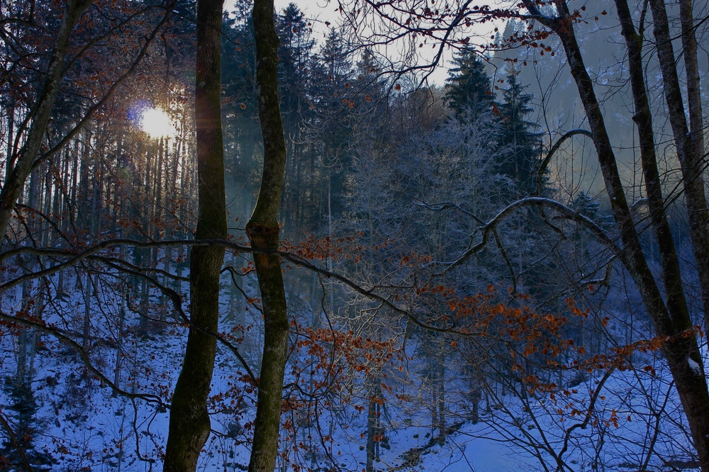 Zauberwald. (Winter kämpft mit Herbst)