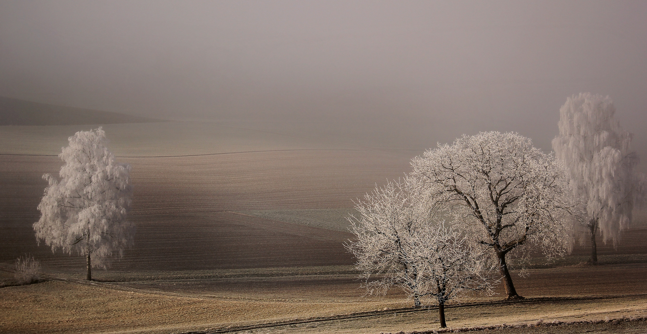 Zauberwelt