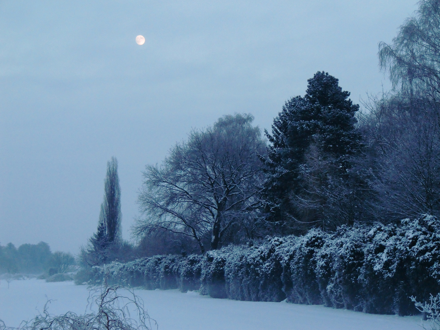 zauberwelt