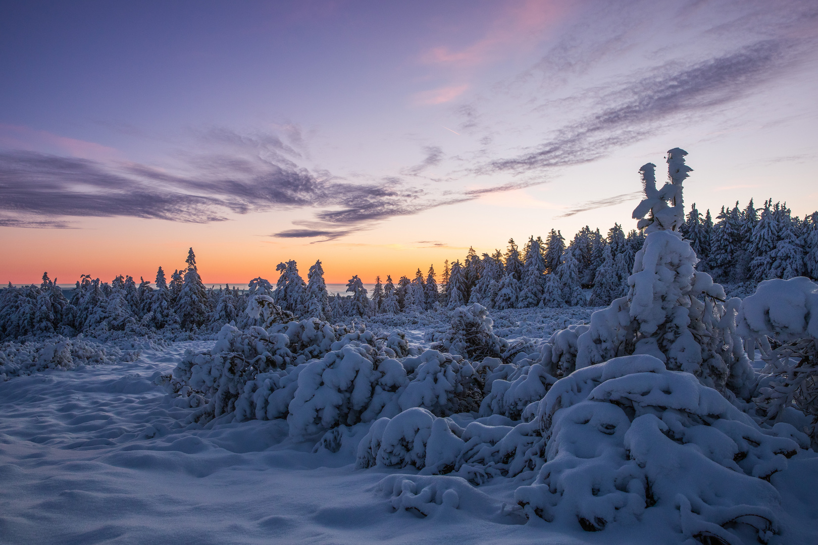 Zauberwelt zur blauen Stunde