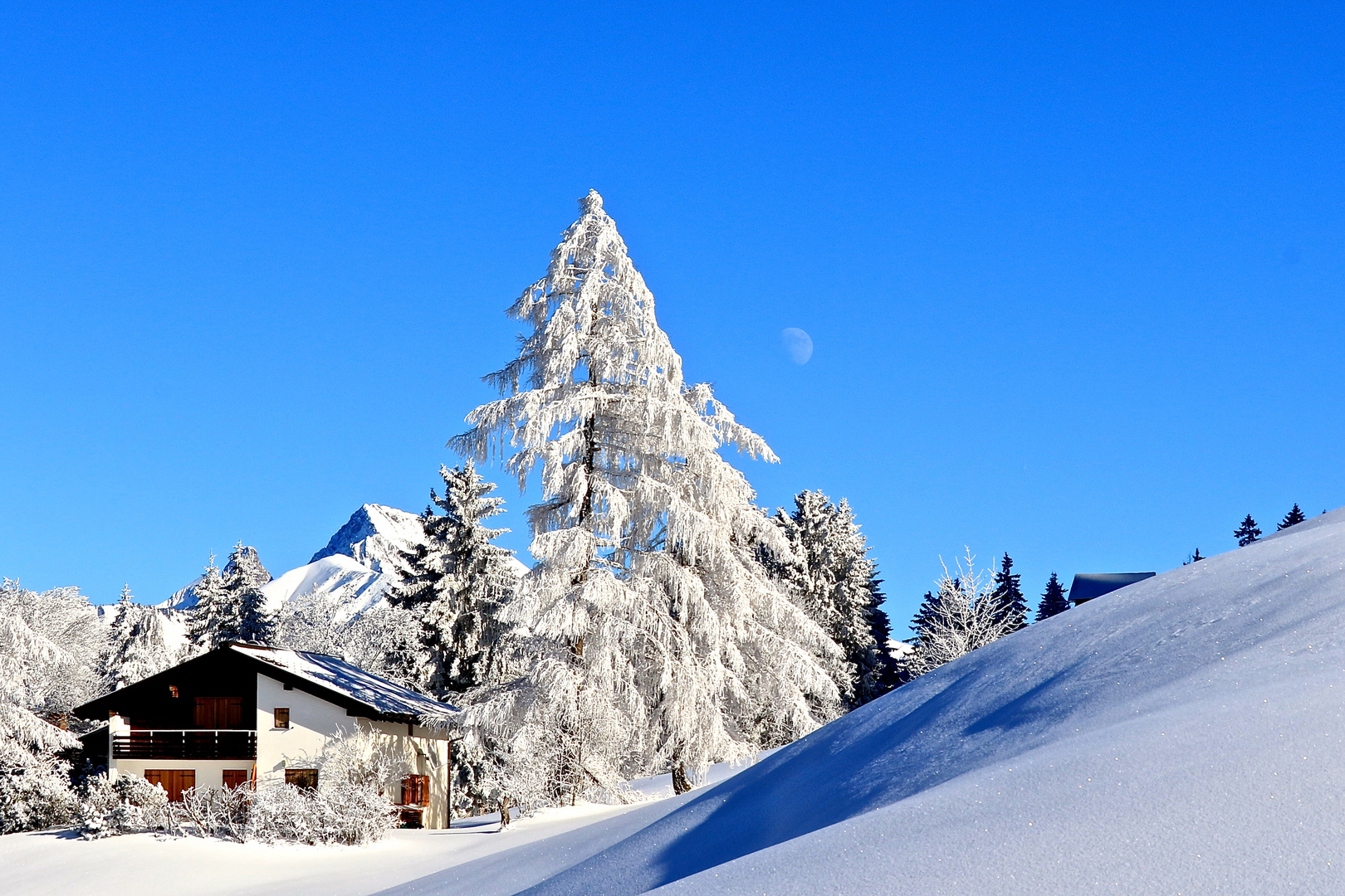 Zauberwinter mit Mond