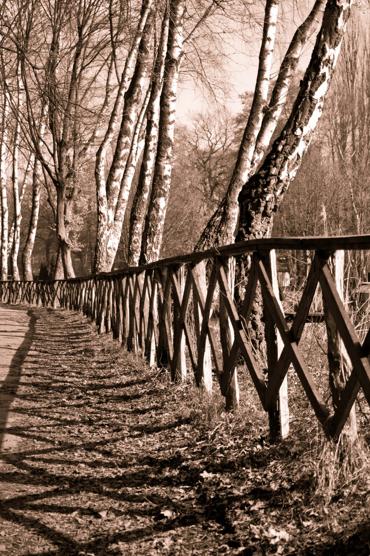 Zaun am Broicher Weiher