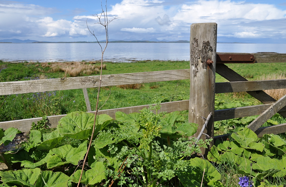 Zaun am Meer