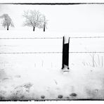 Zaun am Schneefeld