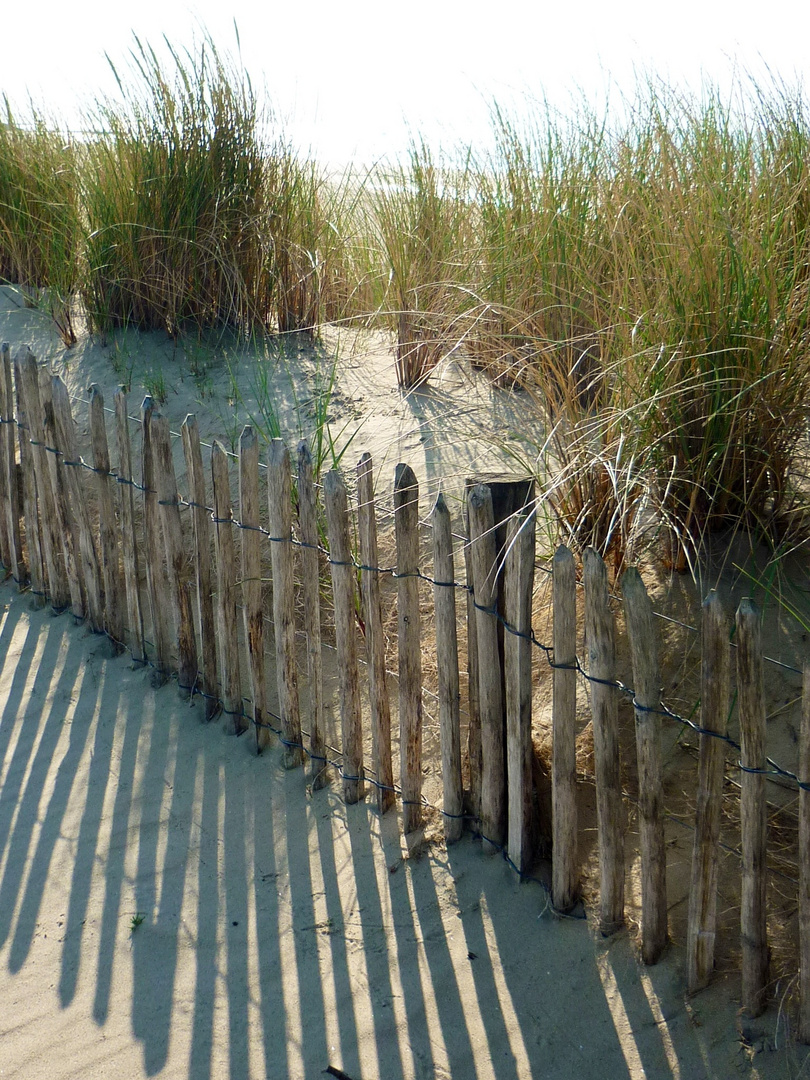 Zaun am Strand