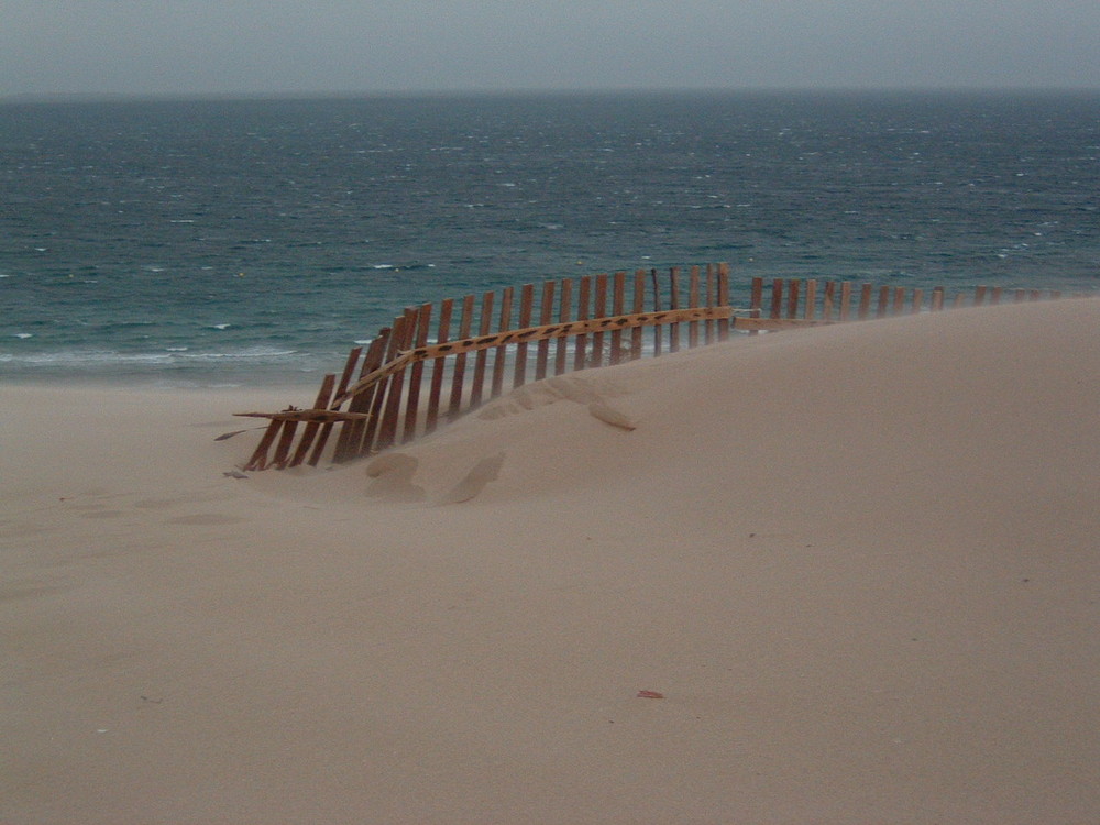 Zaun am Strand