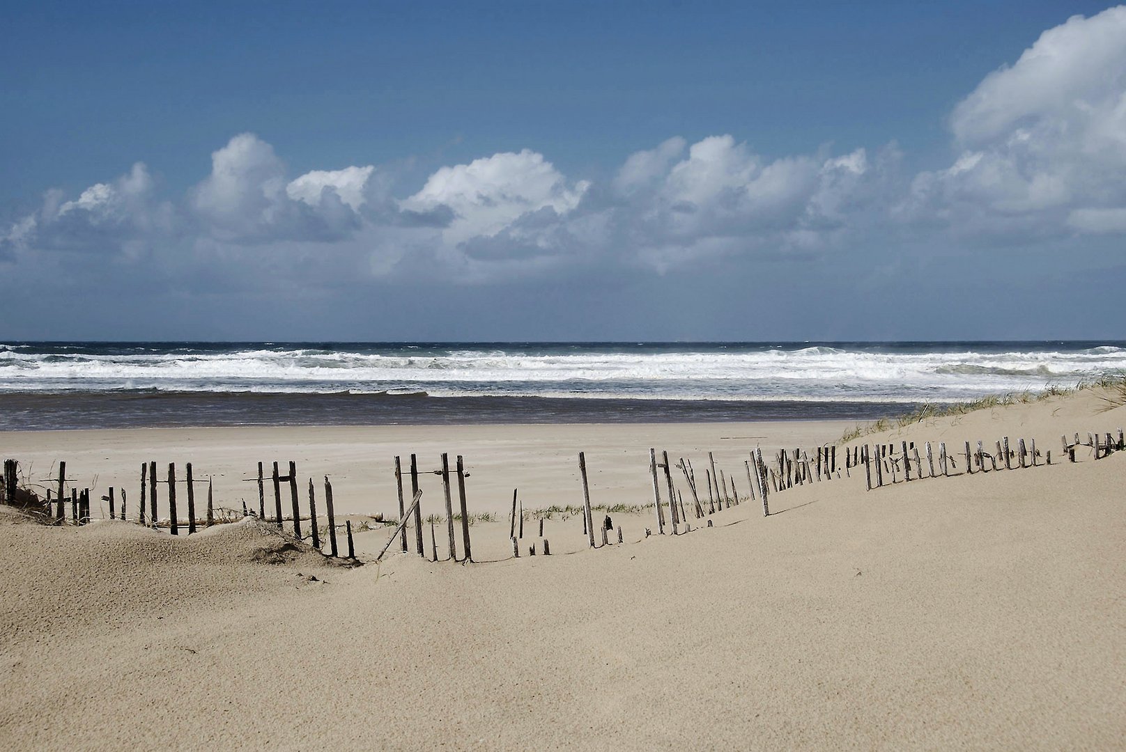 Zaun am Strand III