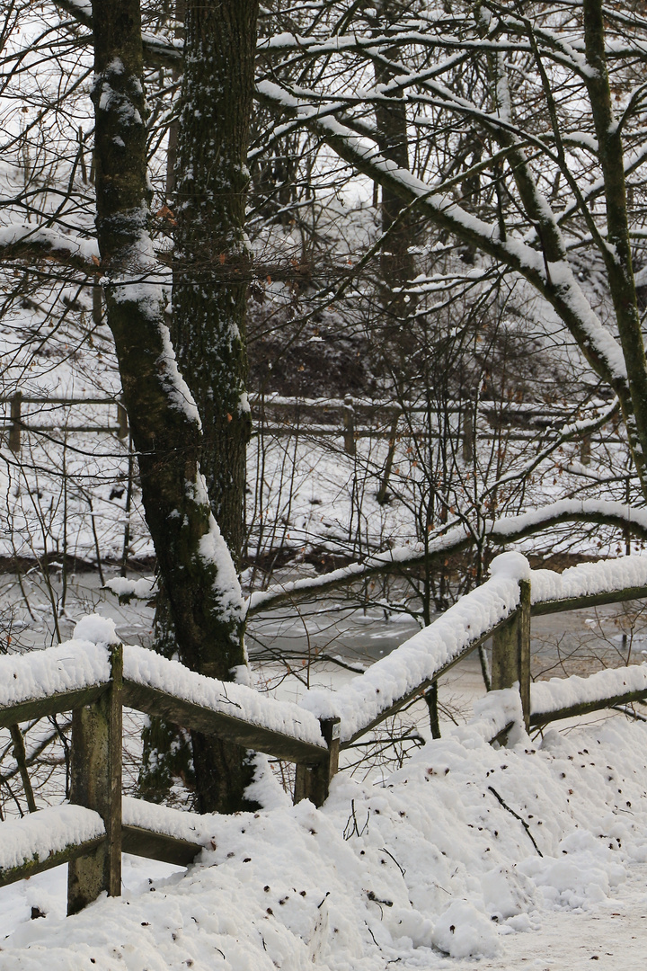 Zaun an der Fürwigge Talspeerre (2019_02_04_EOS 6D Mark II_9984_ji)