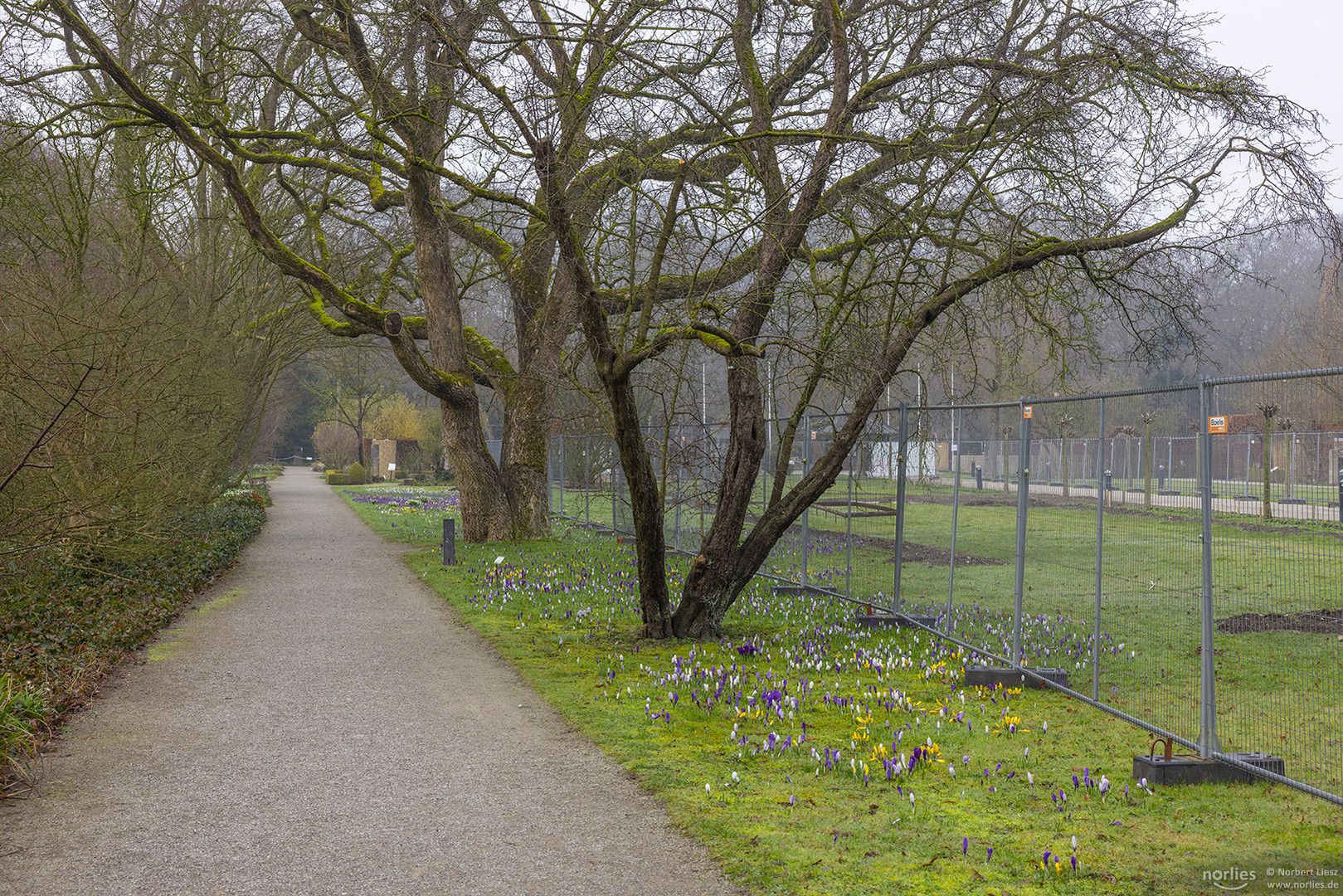 Zaun im Botanischen Garten