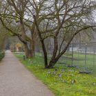 Zaun im Botanischen Garten