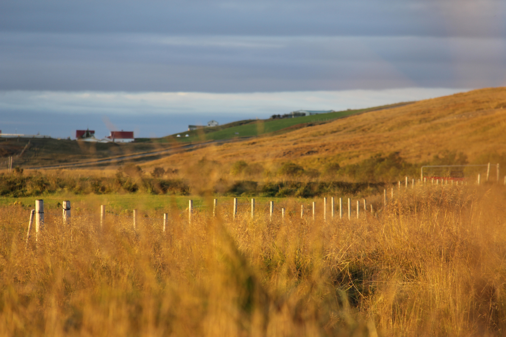 Zaun im Gras