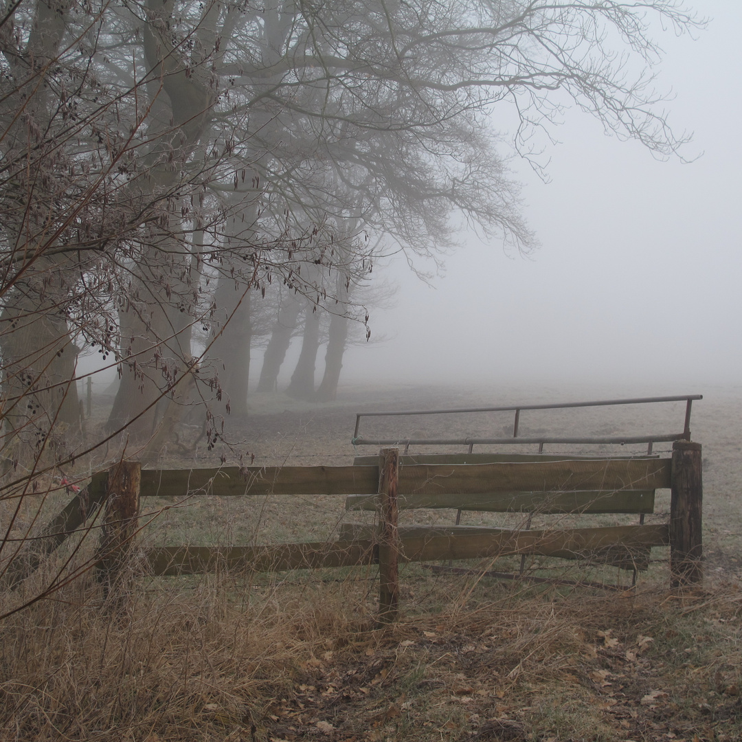 Zaun im Morgennebel