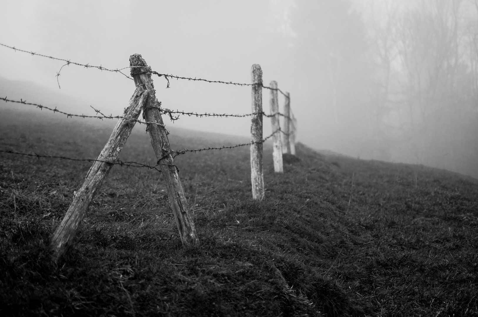 Zaun im Nebel