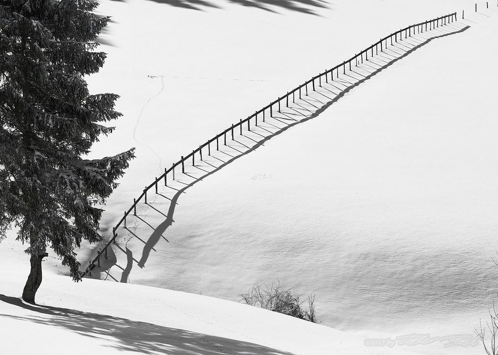 Zaun im Schnee