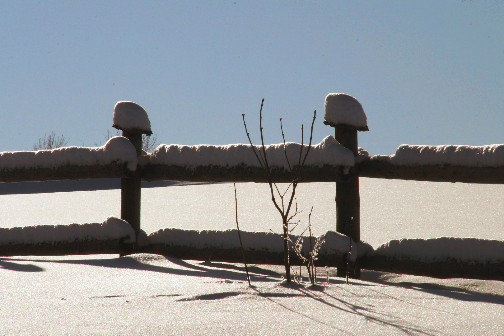 Zaun im Schnee