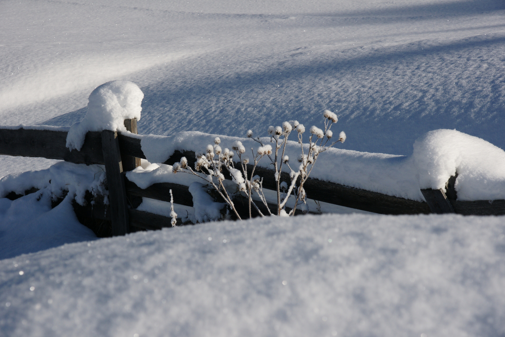 Zaun im Schnee